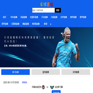 沧州青县仿威图机柜厂家