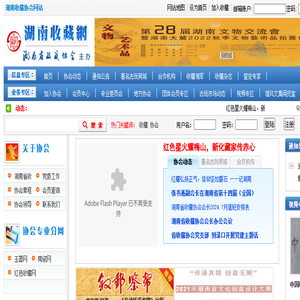 湖南收藏网