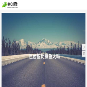 800经验网