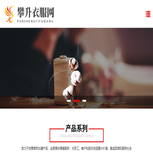 攀升衣服网