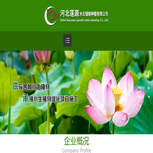 河北莲源水生植物有限公司