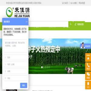 青贮玉米牛必乐