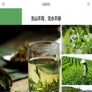 茶叶种植