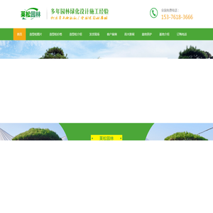 造型松-造型油松价格-造型黑松-景观松-泰安莱芜造型松树基地