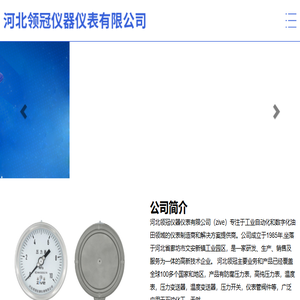 河北领冠仪器仪表有限公司