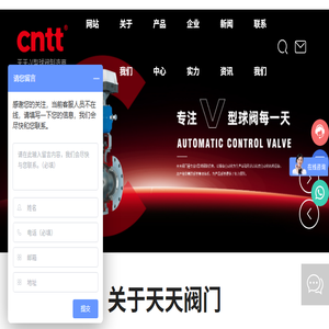 V型球阀