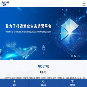 海洋数智化领导者