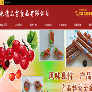 承德上宝食品有限公司