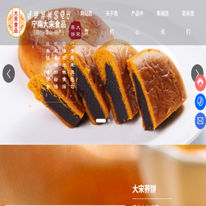 宁南县大宋食品有限责任公司