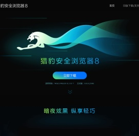 猎豹浏览器