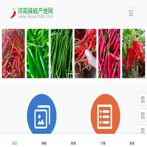 河南辣椒产地网
