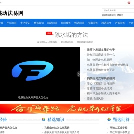 跳动法易网