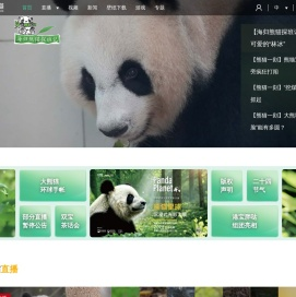 熊猫频道