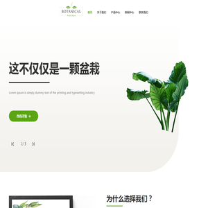 天津办公室花卉租赁