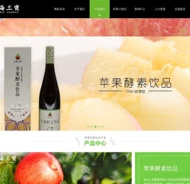 苹果酵素