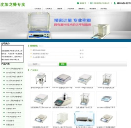 沈阳龙腾电子有限公司