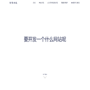网站开发