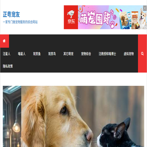 正粤宠友