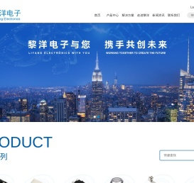 温州市黎洋电子有限公司