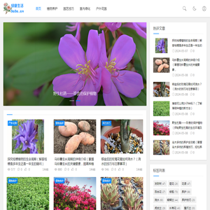 绿意生活