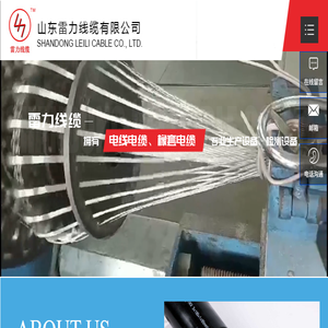 山东雷力线缆有限公司