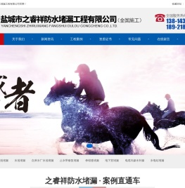 盐城市之睿祥防水堵漏工程有限公司