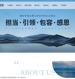 四川睿安工程项目管理有限公司
