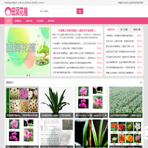 田润花植