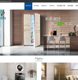 山东小鸭集团家电有限公司