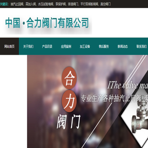 抽汽止回阀