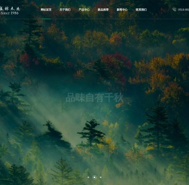 科技木皮