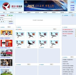 爱亚卡普信鸽