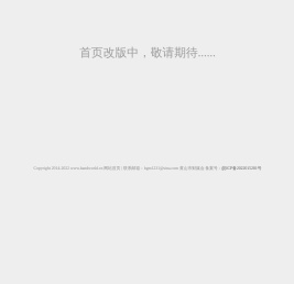 环球快报网