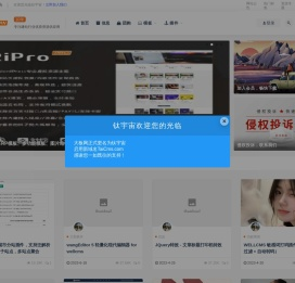 WELLCMS优秀开发者