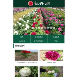 牡丹网