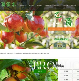 山东乙酉苗木有限公司,山东樱桃苗价格,桃树苗基地,草莓苗销售,苹果苗基地直销