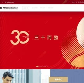 中智股份网