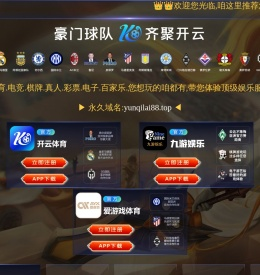 专业的电商系统外包与解决方案服务商