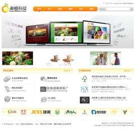 厦门网站建设,厦门SEO优化