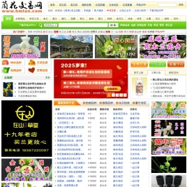 中国兰花交易网