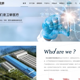 河北卫崭医疗科技有限公司