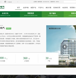 中能电气股份有限公司官网