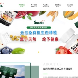 NADH线粒体