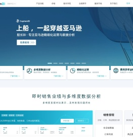 亚马逊船长BI