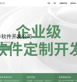长春软件外包公司