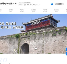 秦皇岛正纯电气有限公司