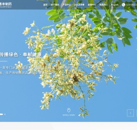 陕西惠丰制药有限公司