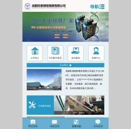 成都旺泰精密模具有限公司