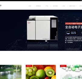 在线非甲烷总烃分析仪