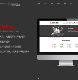 新疆软件开发